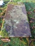 image of grave number 723534